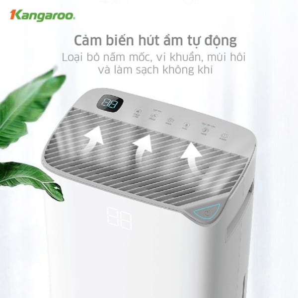 máy hút ẩm Kangaroo KGDH20